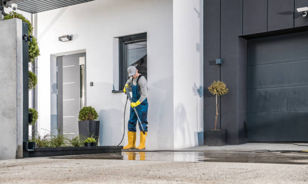 Professional Pressure Washing Services in Westernport, MD